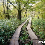 kamikochi-JapanPhotoGuide-042