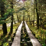 kamikochi-JapanPhotoGuide-043