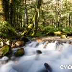 kamikochi-JapanPhotoGuide-046