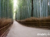 kyoto-bamboo-002