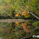 lake-onneto-003