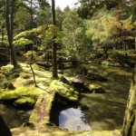 kokedera-001
