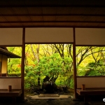 kokedera-004
