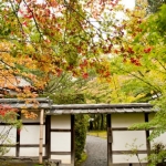 kokedera-005