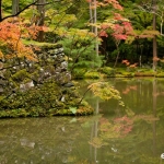 kokedera-009