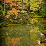 kokedera-010