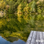 Myojin Pond-JapanPhotoGuide-022