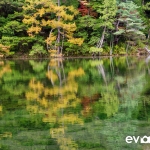Myojin Pond-JapanPhotoGuide-024