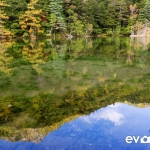 Myojin Pond-JapanPhotoGuide-025