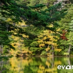 Myojin Pond-JapanPhotoGuide-026