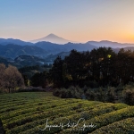 05-mt-fuji-japan-photo-guide-040