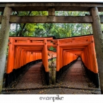 Japan-Photo-Guide-Fushimi-Inari-077