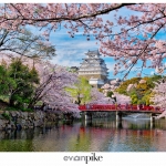Japan-Photo-Guide-Himeji-056