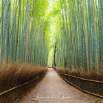 Japan-Photo-Guide-Kyoto-025