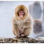Japan Photo Guide