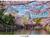 Japan-Photo-Guide-Himeji-056