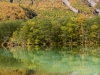 Taisho Pond-JapanPhotoGuide-034